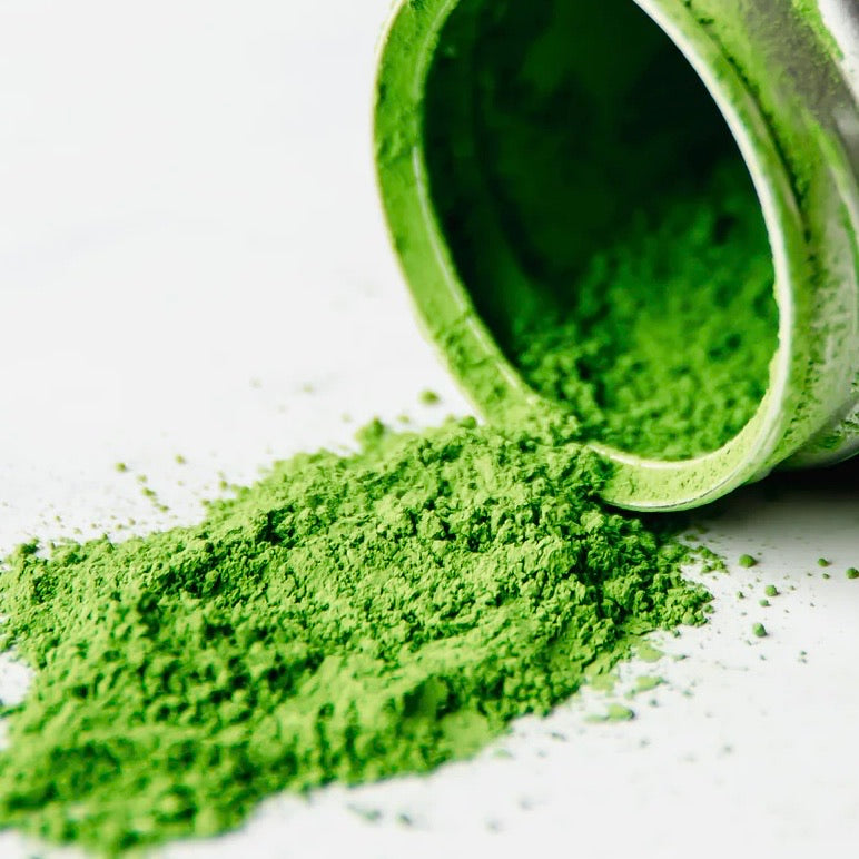Organic Matcha green tea Powder in Qatar | Weight Loss– Matcha for Trading